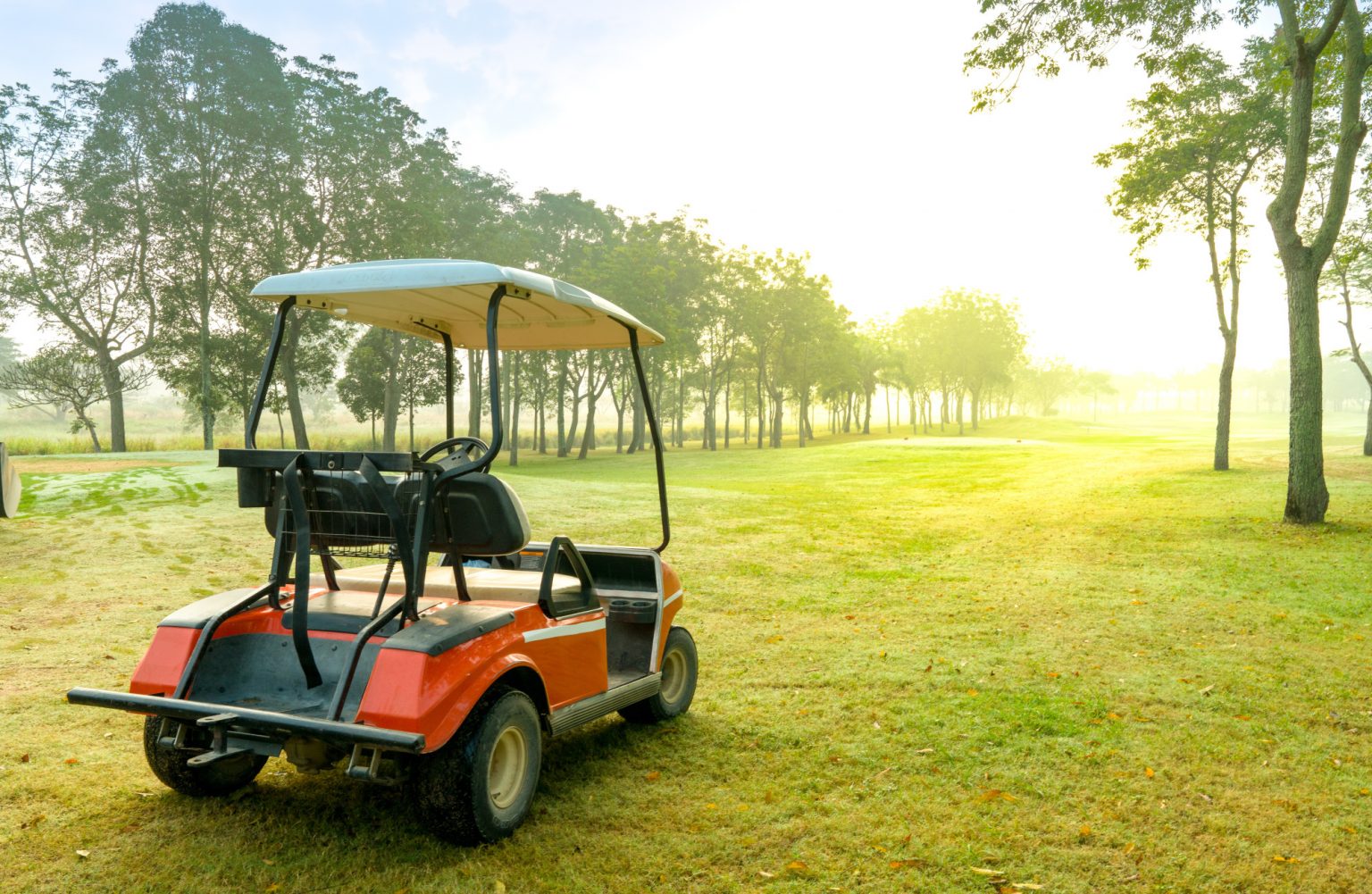 » How Much Do Golf Carts Cost?